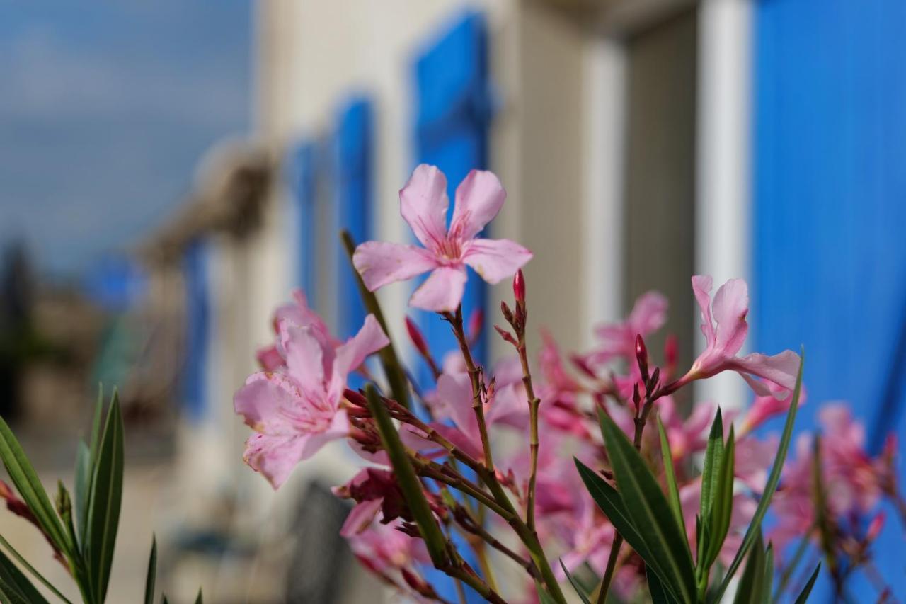 Moulin De Mauzac Bed and Breakfast Saint-Just-Luzac Buitenkant foto
